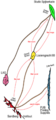 Thumbnail for version as of 08:31, 26 April 2023